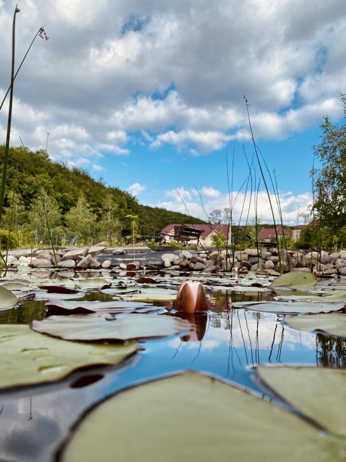 Hotel Termal Star Complex Niżne Sołotwino Zewnętrze zdjęcie